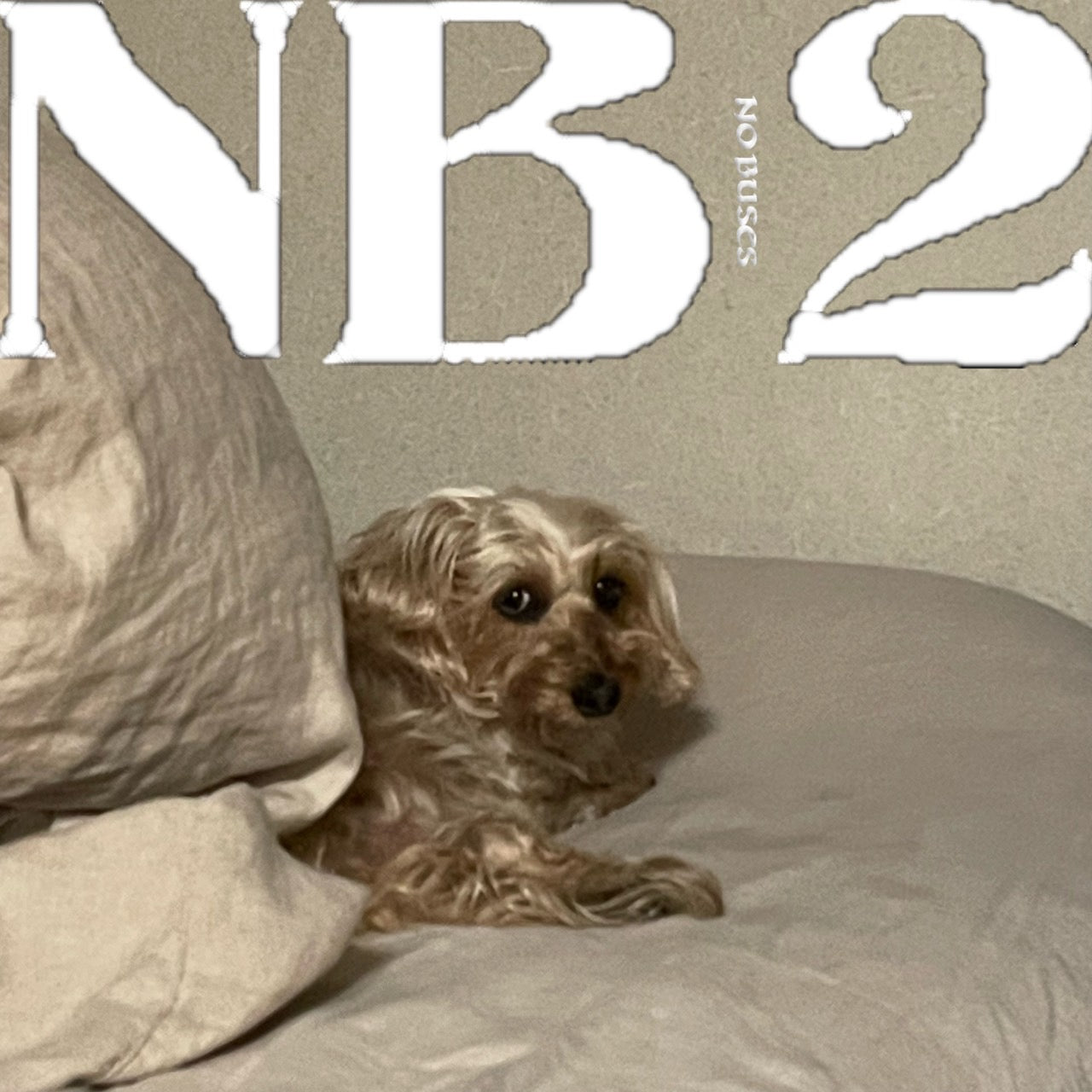 NB2(CD)